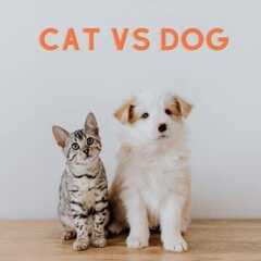 Dog-Cat Classification